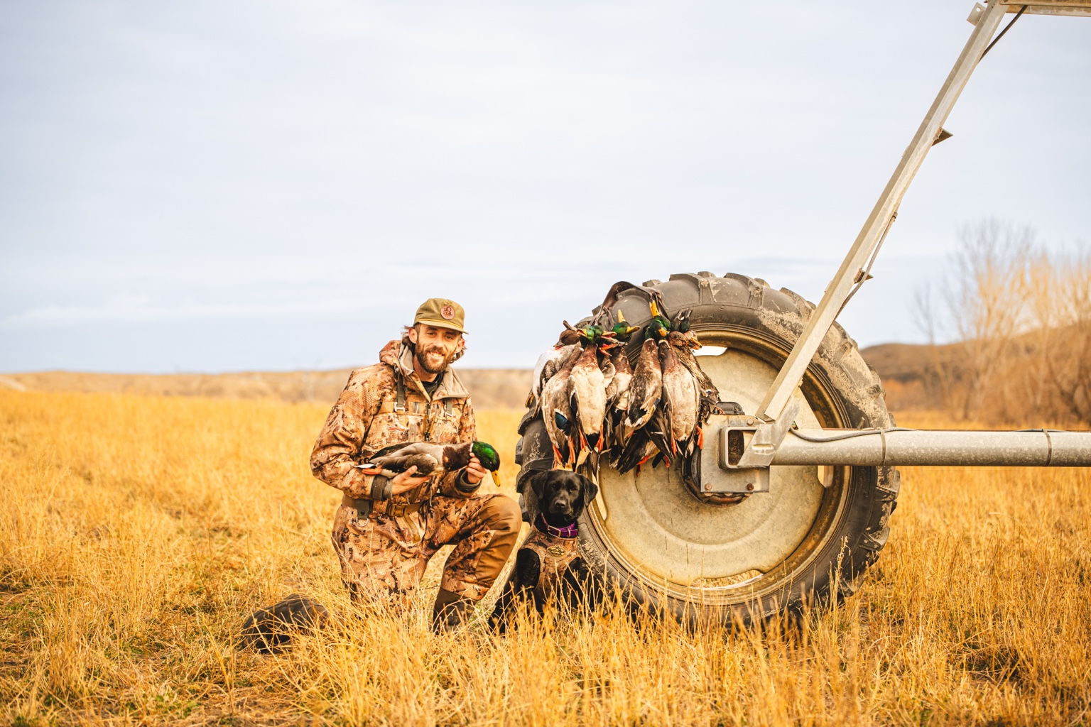 Blazing Sammy, a black Labrador, in the field after a waterfowl hunt