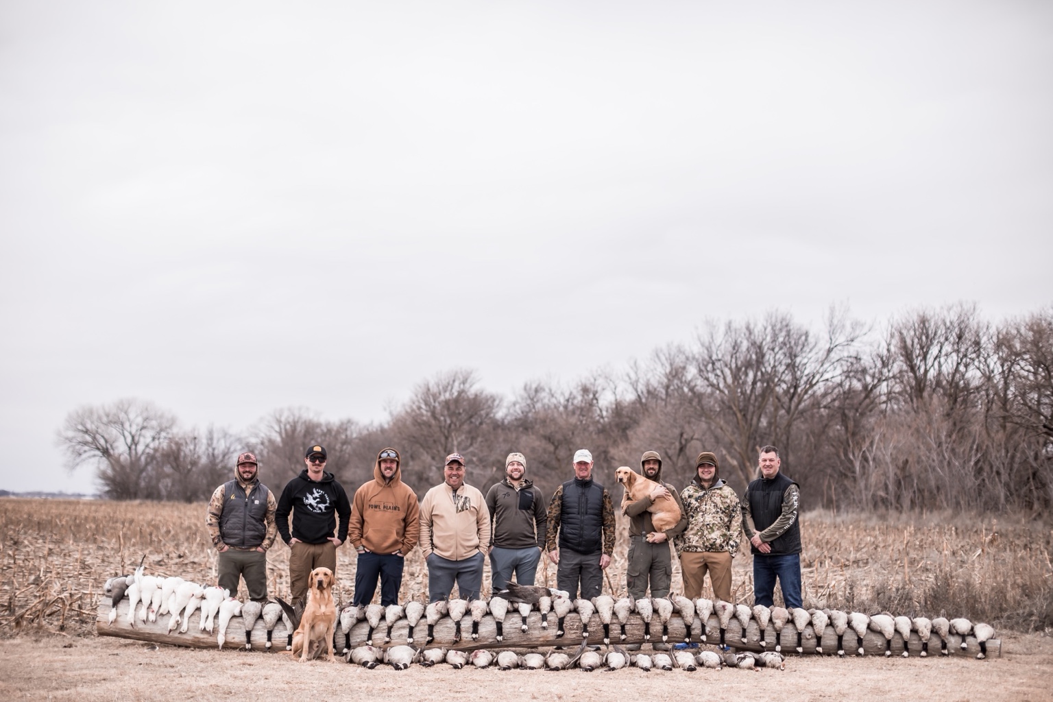 Outfitted hunting group with Labrador and birds in a field