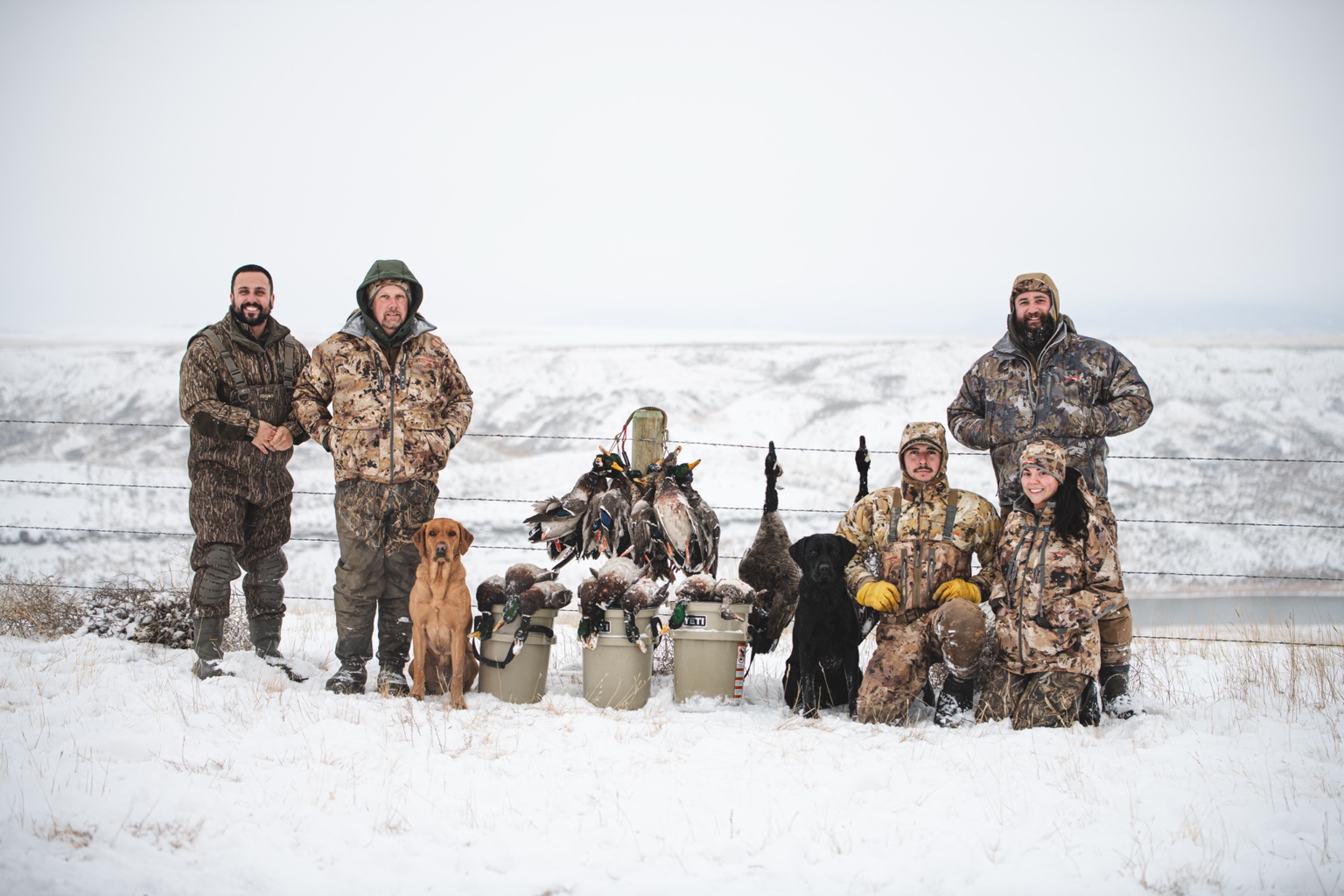 Hunters and Labradors together after a snowy hunt