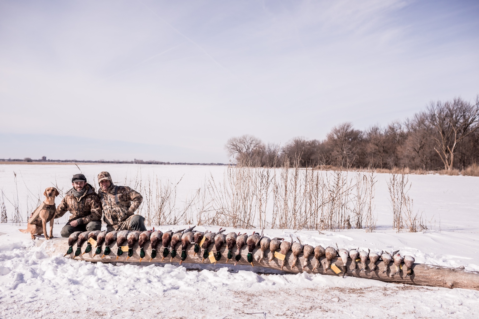 Two hunters and a Labrador after a winter hunt